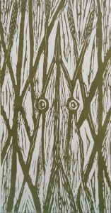 Helen Langley_Bittern